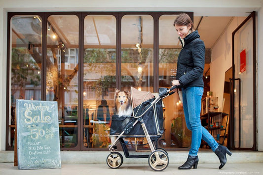 Is Your Pet Ready to Ride in Style? Check Out These Mind-Blowing Strollers!